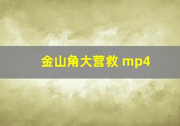 金山角大营救 mp4